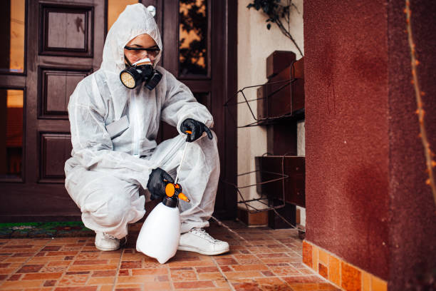 Reliable Bed Bug Control contractor in Air Force Academy, CO by Nex Pest Control