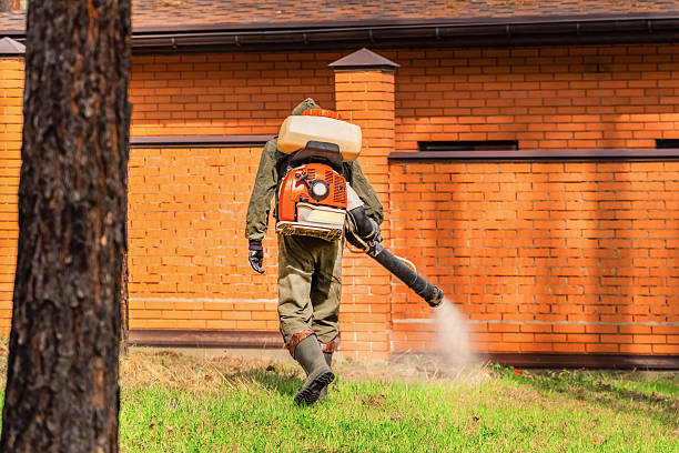 Trusted Bed Bug Control service in Air Force Academy, CO - Nex Pest Control